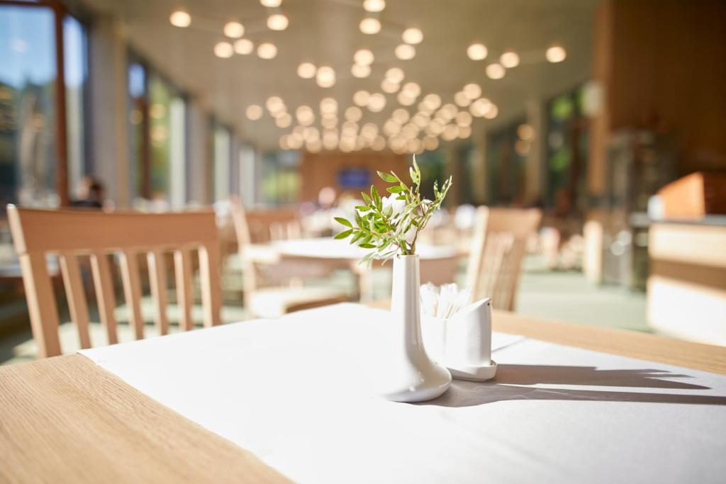 阿斯托里亚酒店餐厅或其他用餐的地方
