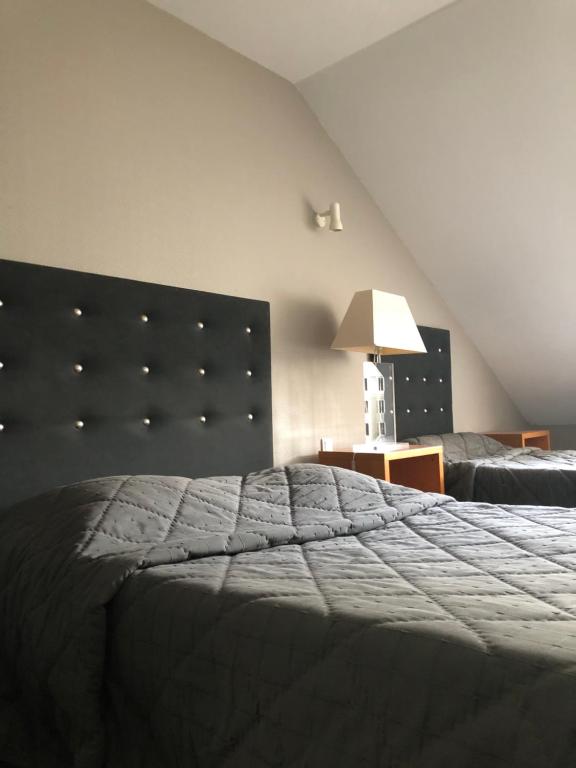 ein Schlafzimmer mit einem großen Bett und einer Lampe in der Unterkunft Les quatre vents in Muizon