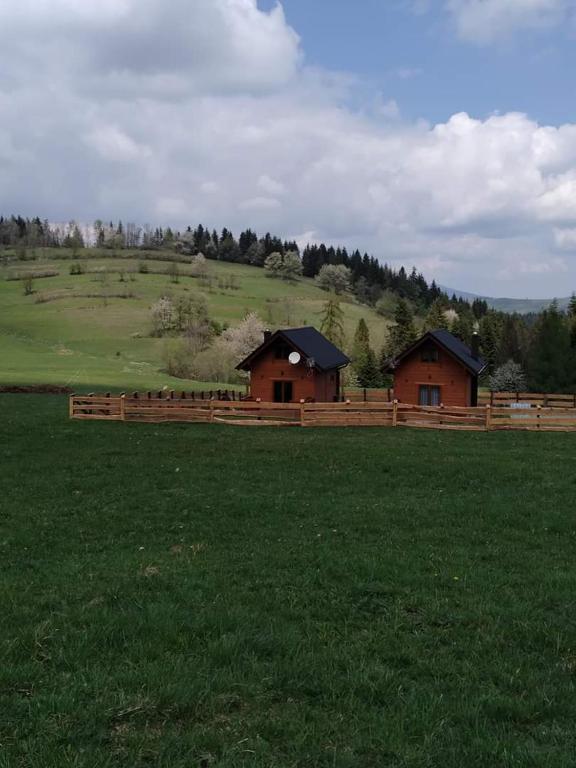 Príroda v okolí horskej chaty