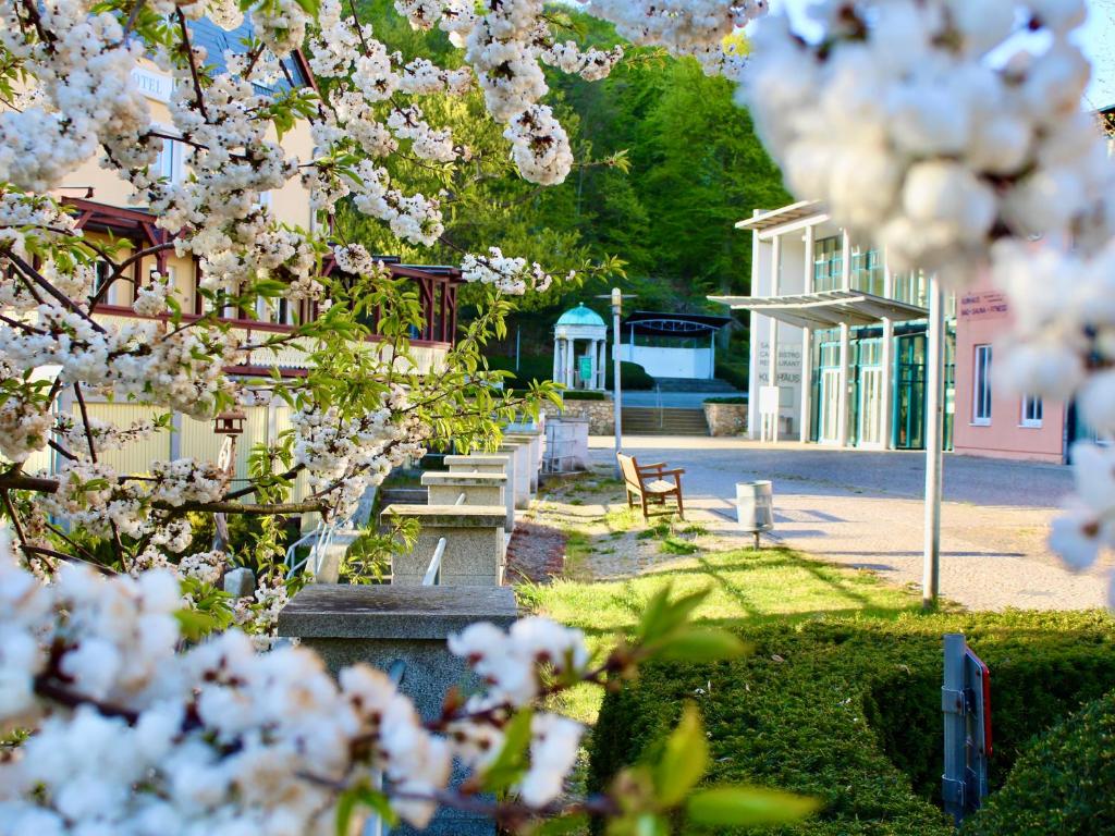 Zahrada ubytování Pension Kurhausblick