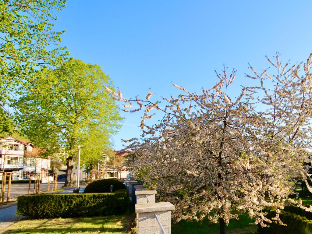 Zahrada ubytování Pension Kurhausblick