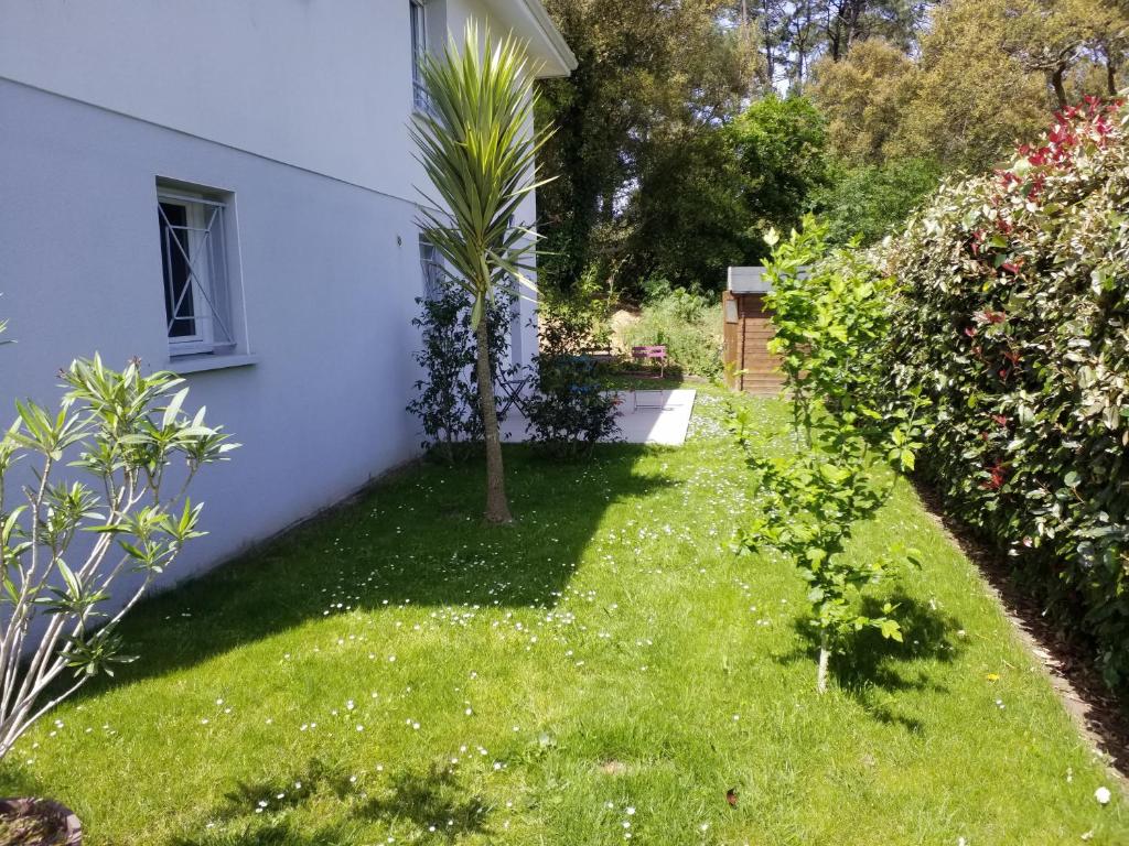 un patio con una palmera y una casa en Les Echappées Belles - Studio entre océan et forêt, en Tarnos