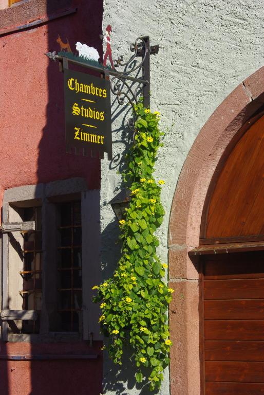 Gîte Meyer-Liss – photo 21
