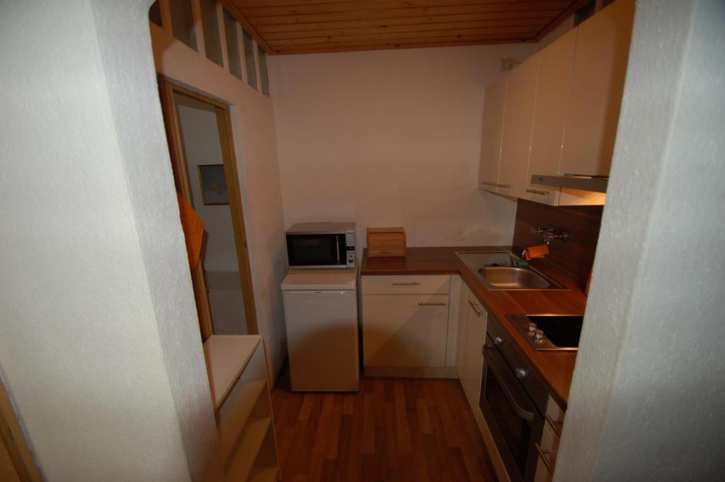 A kitchen or kitchenette at Apartment Alena - include Jokercard