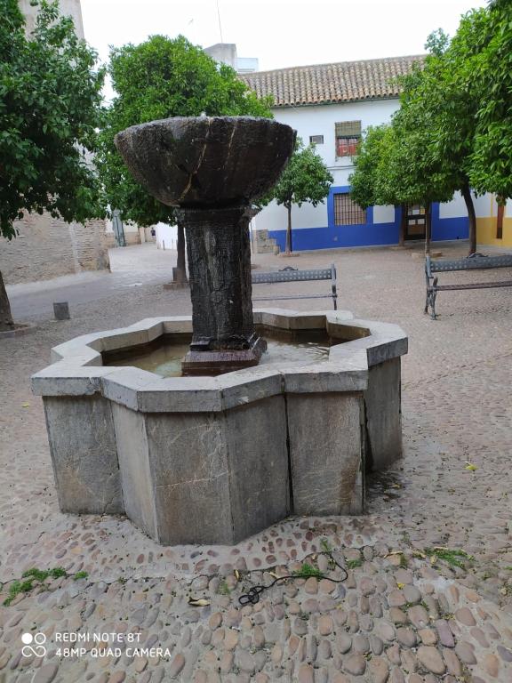 Kép Alojamiento casa típica de Córdoba szállásáról Córdobában a galériában