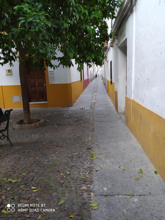 Kép Alojamiento casa típica de Córdoba szállásáról Córdobában a galériában