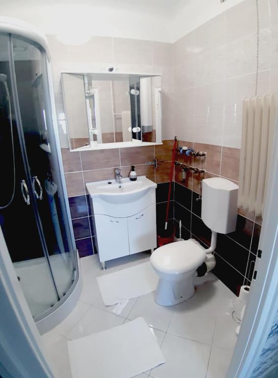 Kúpeľňa v ubytovaní Bálint Apartman - In the heart of Miskolc