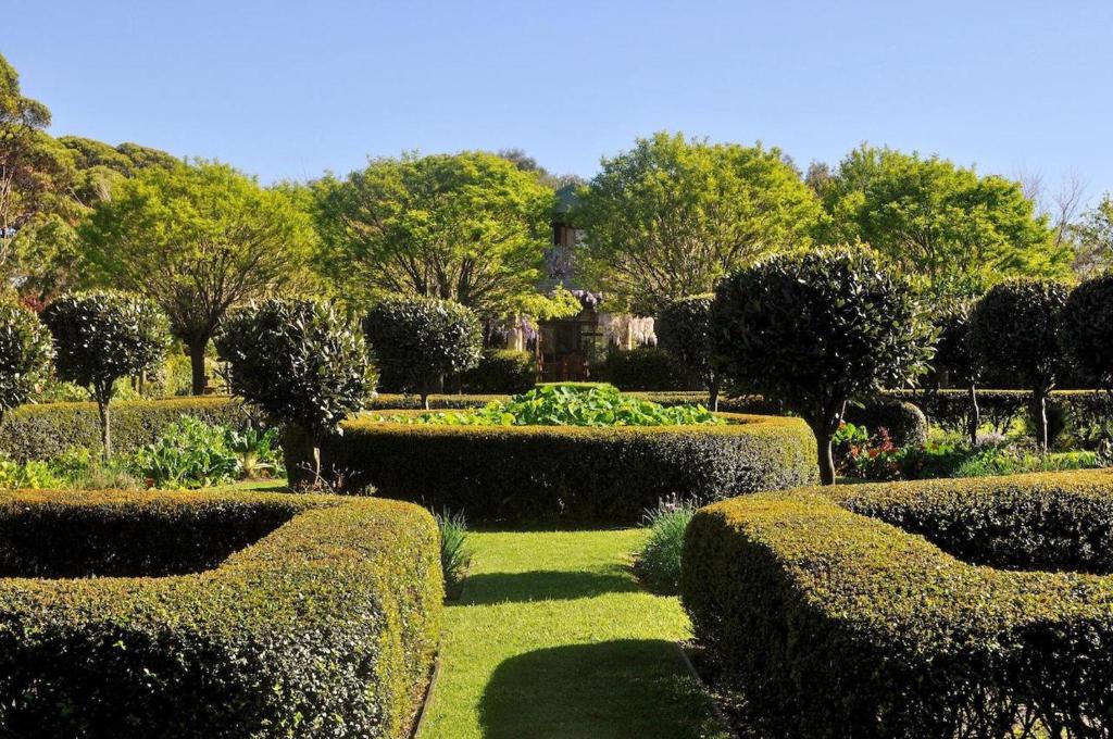 a garden with bushes and hedges and trees at Tree Elle Retreat in Bow Bridge