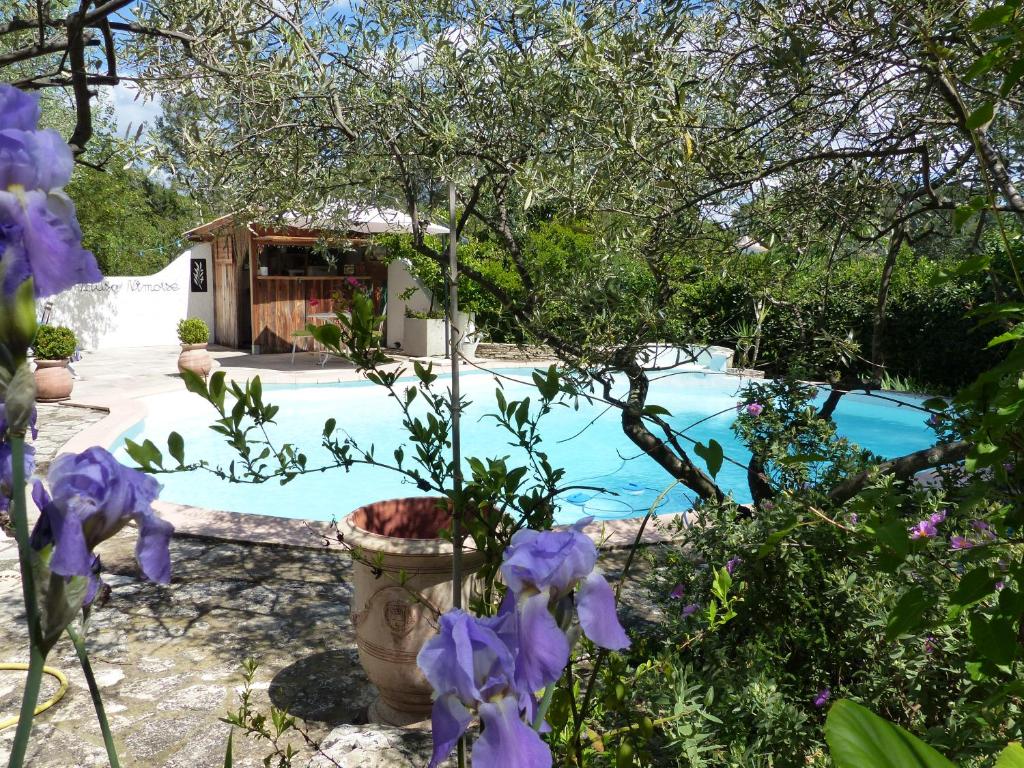 uma piscina num jardim com flores roxas em la pause nimoise em Nîmes