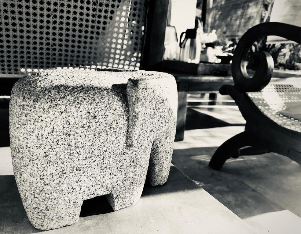 Fotografie z fotogalerie ubytování Khomba Beach House v destinaci Alankuda