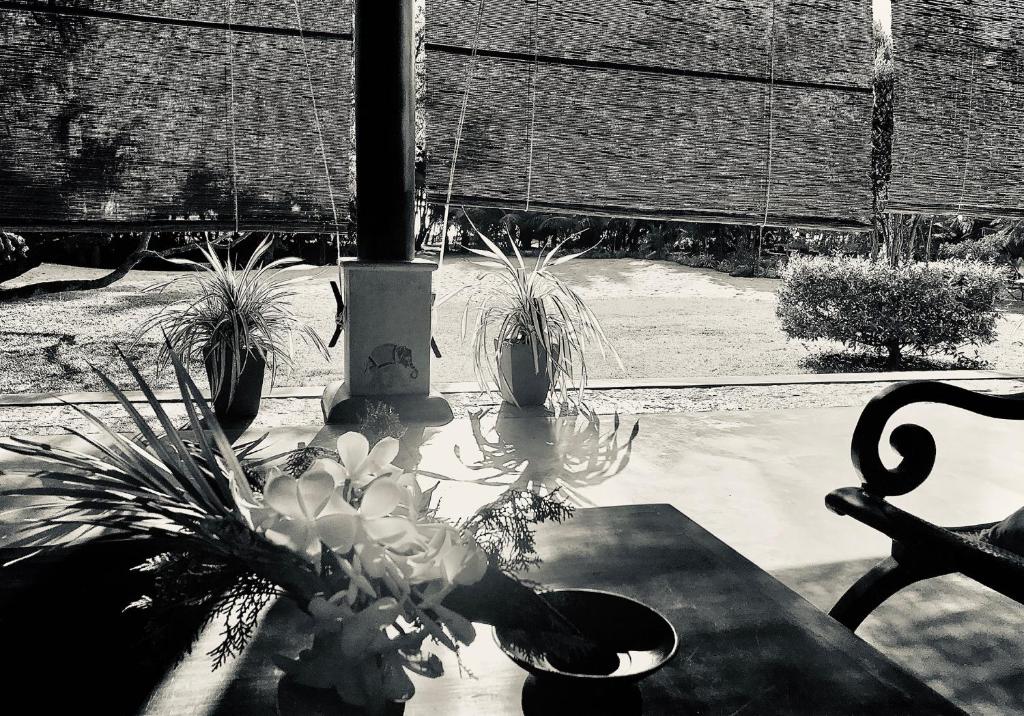 Fotografie z fotogalerie ubytování Khomba Beach House v destinaci Alankuda