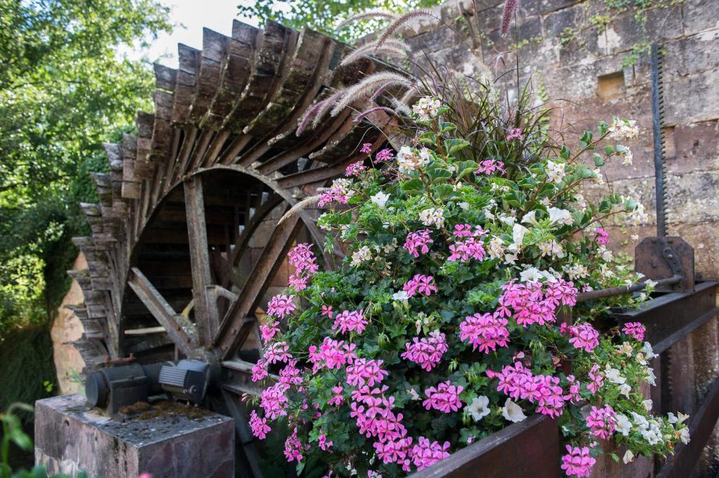 Le Moulin de la Walk - 12