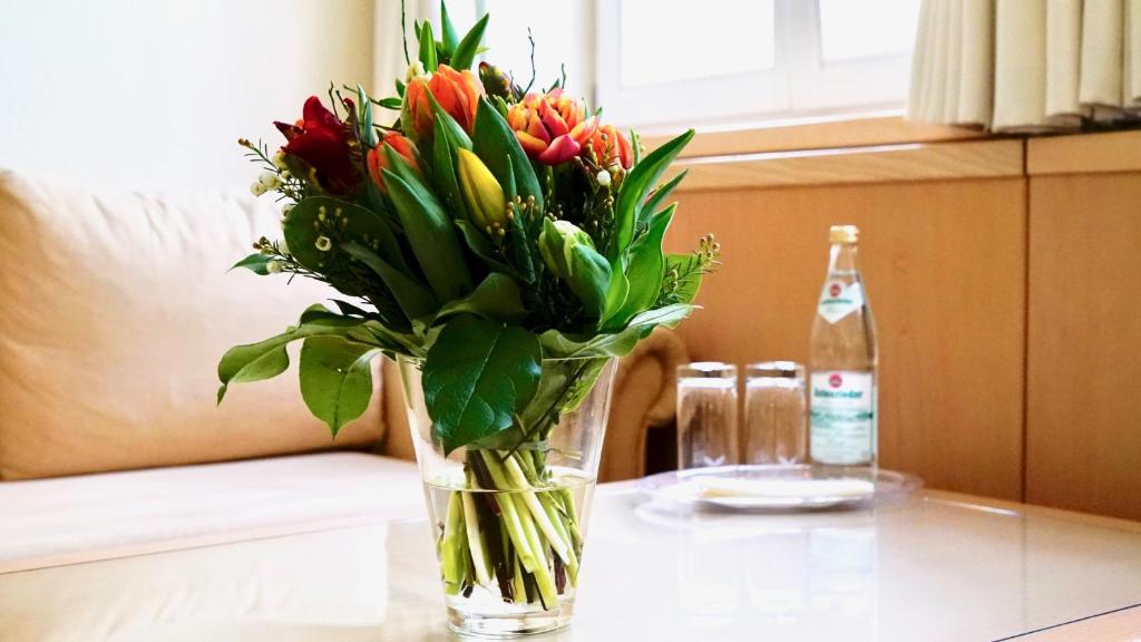 Hotel Alte Post - Single Room