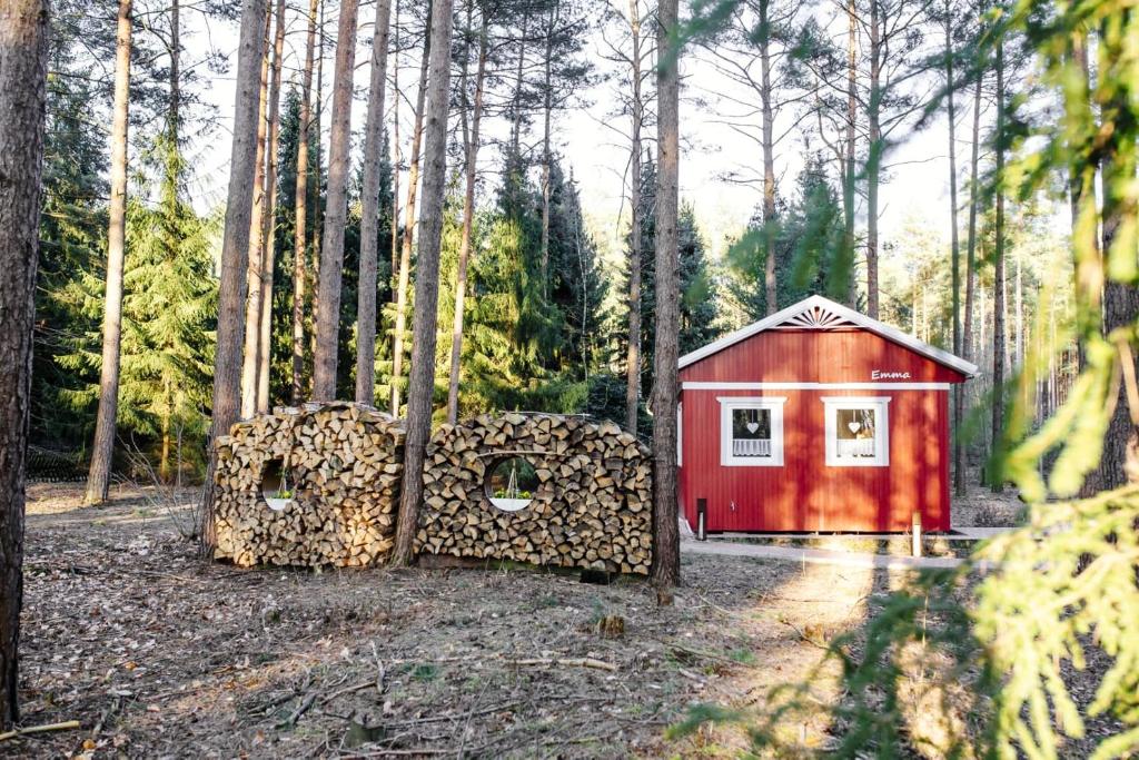 ein roter Schuppen mitten im Wald in der Unterkunft Waldhaus Emma in Suderburg