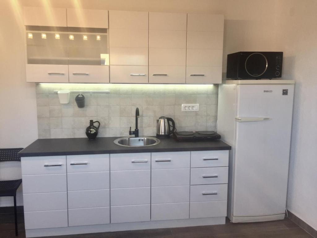 Кухня или мини-кухня в Aparthotel Monterria

