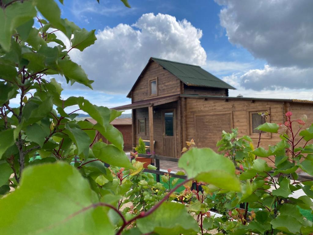 Casa de madera con techo verde en Alojamiento Rural Setenil, en Setenil