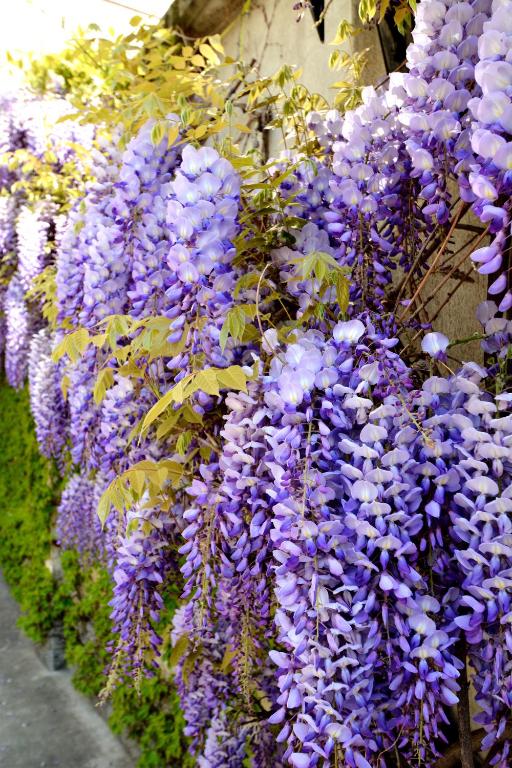 Astor Hotel - Resim 14