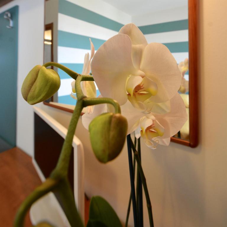 Astor Hotel - Resim 23