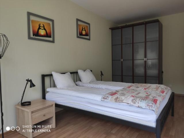 Posteľ alebo postele v izbe v ubytovaní LuxApartament 3 - z dużym tarasem i garażem w Zeta Park