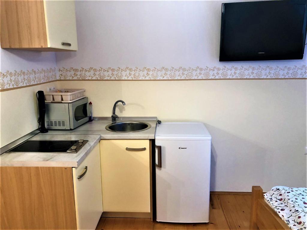 Kuchyň nebo kuchyňský kout v ubytování Farmhouse Štiftar