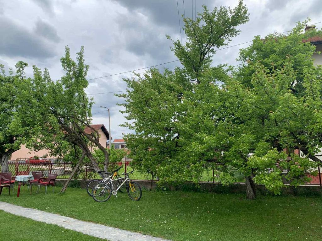 Zahrada ubytování Idila