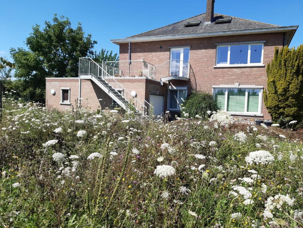 una casa en una colina con un campo de flores en De Notelaar, en Kortessem