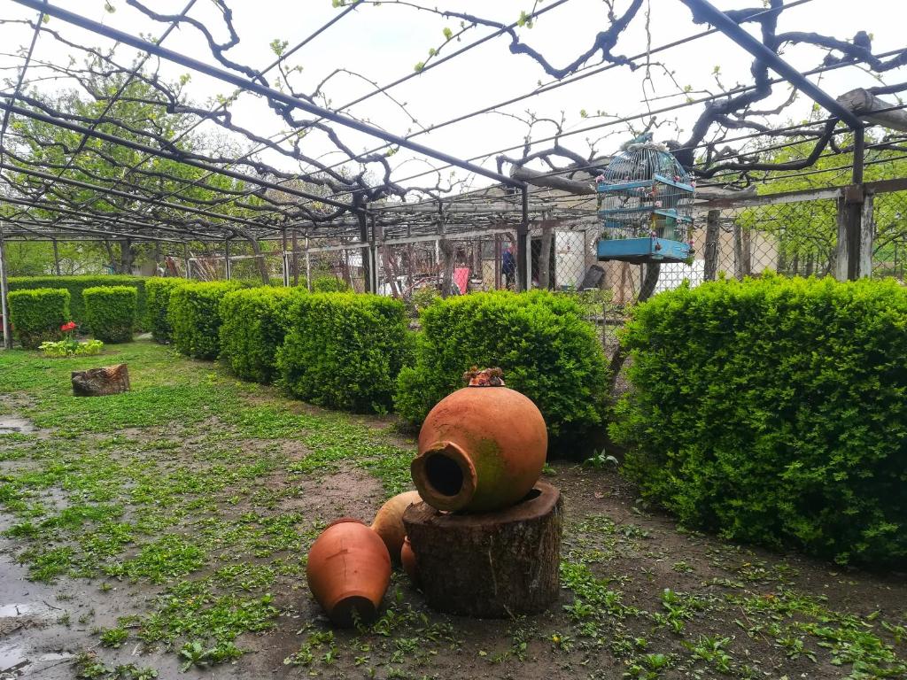 Фото Barnovi Guest House