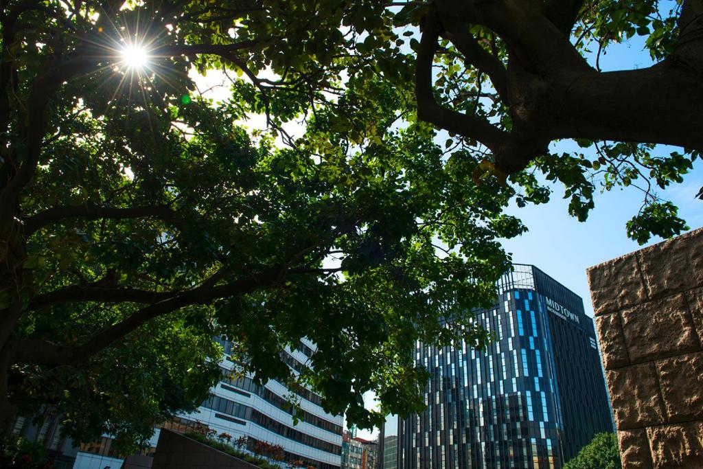 Fotografie z fotogalerie ubytování Hotel Midtown Richardson v destinaci Taipei