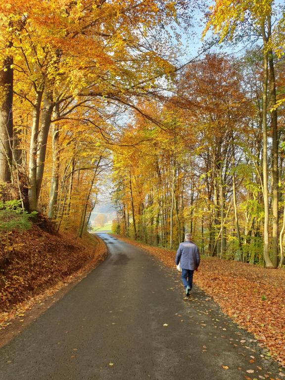 a man walking down a road in the woods at Ferienhaus Renate in Straden
