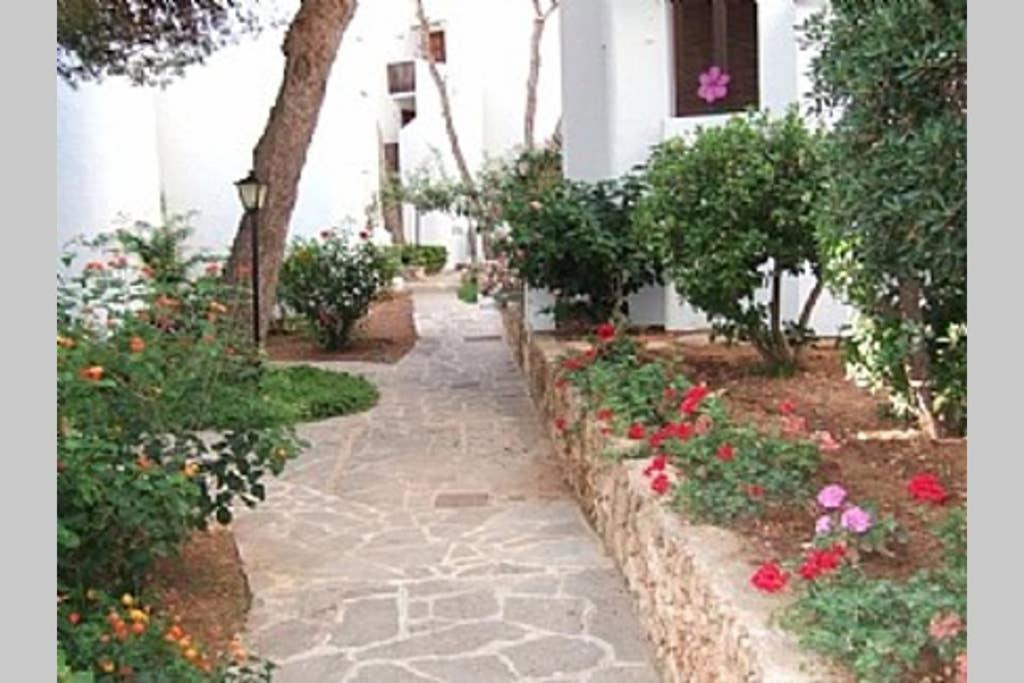 Sea frontline Apartment 'Charo' Pool and Wifi - Appartement De Trois Chambres