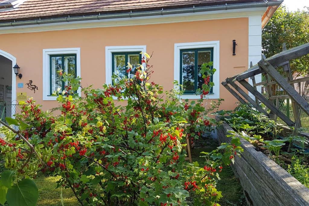 una casa con un arbusto con flores rojas delante en Ferienwohnung Beerengarten 