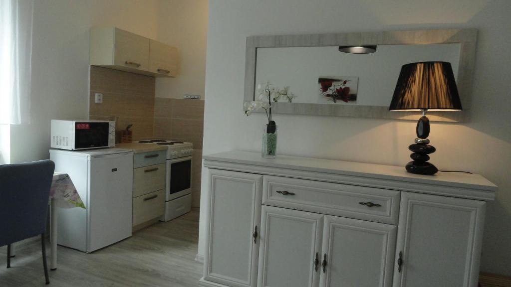 Kuchyň nebo kuchyňský kout v ubytování Apartmán Sluka