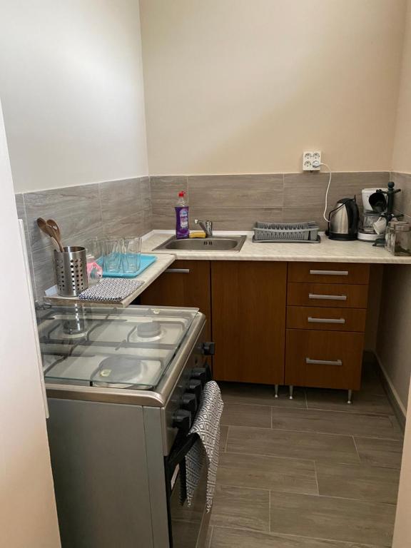 A kitchen or kitchenette at Virág Vendégház