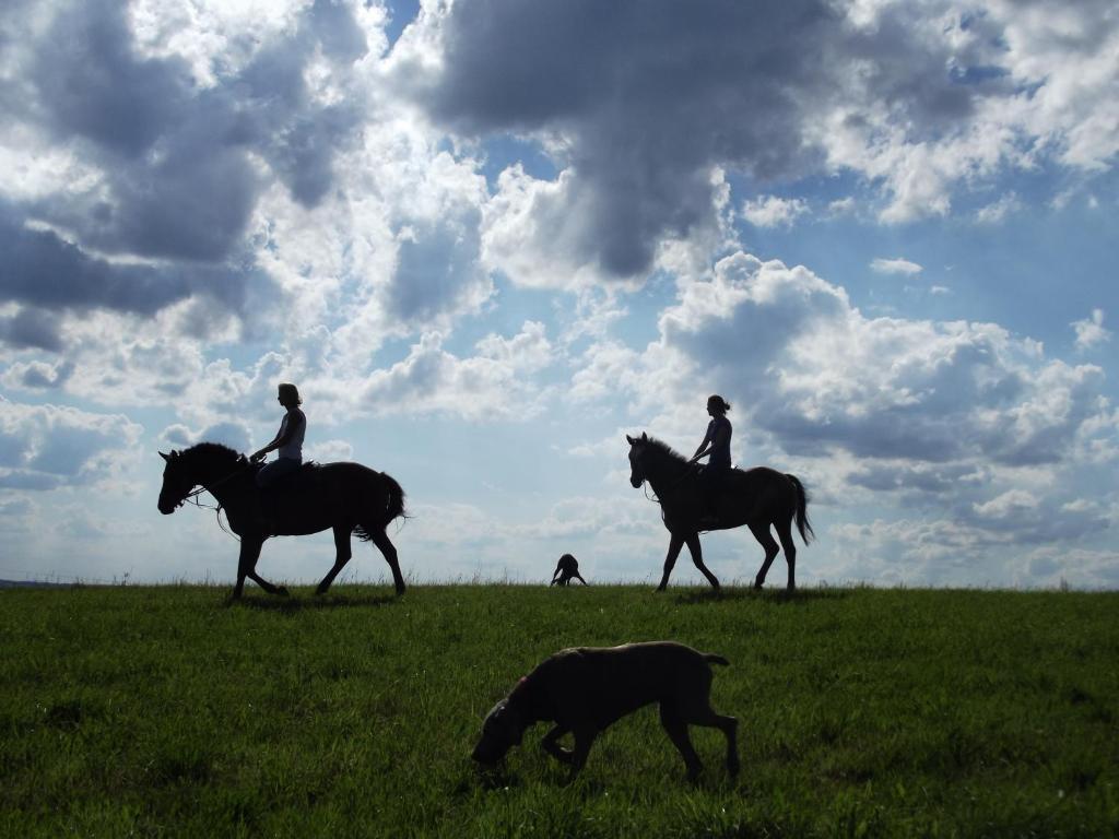dos personas montando caballos y un perro en un campo en letní domek, koně, lezecká stěna, fitness, NOVĚ i možnost spaní nad hlavami koní!!!, 