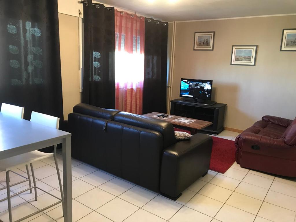 a living room with a couch and a television at Appartement à Metz Technopole 24 in Metz