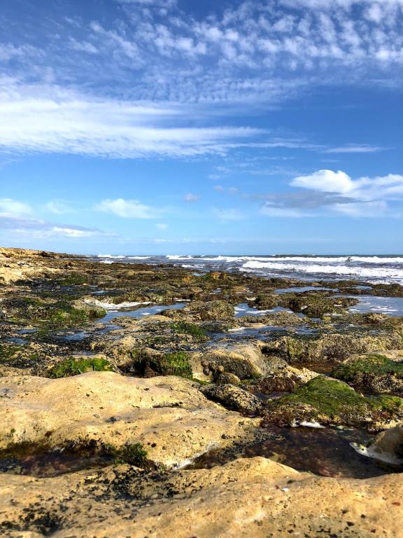 Quinta Pedra Dos Bicos - Resim 36