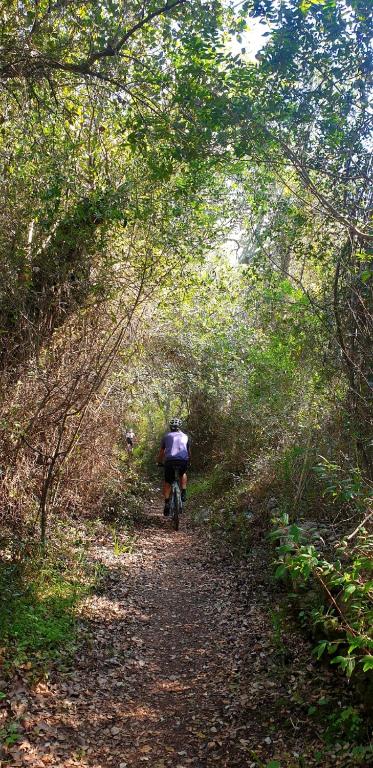 Quinta Pedra Dos Bicos - Resim 34