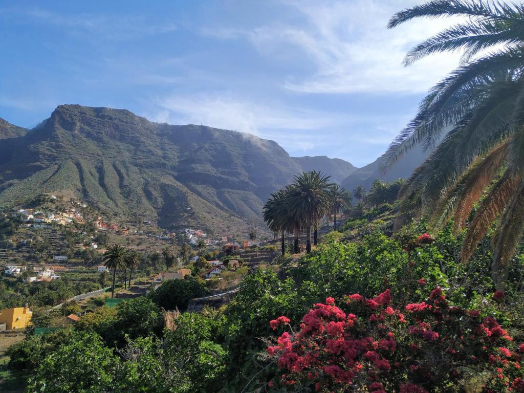 a view of a valley with palm trees and mountains at Finca La Ladera in Valle Gran Rey