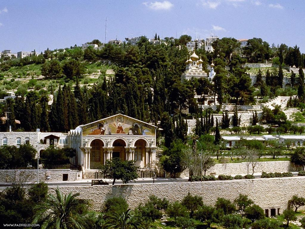 a large building on a hill with a mountain at Jerusalem Panorama Hotel in Jerusalem