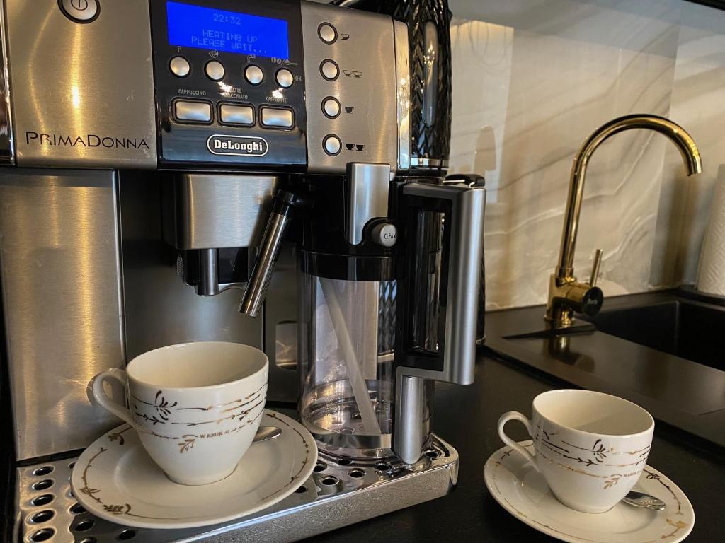 Family & Business Sauna Apartments No 7 Leśny nad Zalewem Cedzyna Unikat - 3 Bedroom with Private Sauna, Bath with Hydromassage, Terrace, Garage, Catering Options - 8