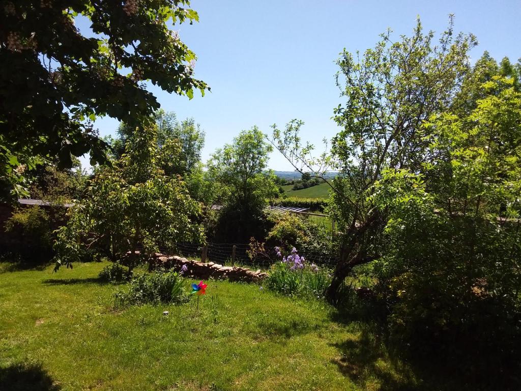 un jardin avec des arbres et des fleurs dans l'herbe dans l'établissement Chambre d'hôtes en Segala, à La Salvetat-Peyralès