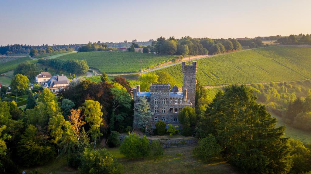 Saar Castle - cozy Mansion near vineyard - Maison De Vacances