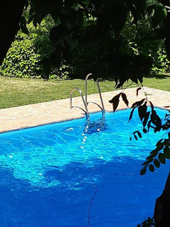 Piscina en o cerca de Cortijo Balzain