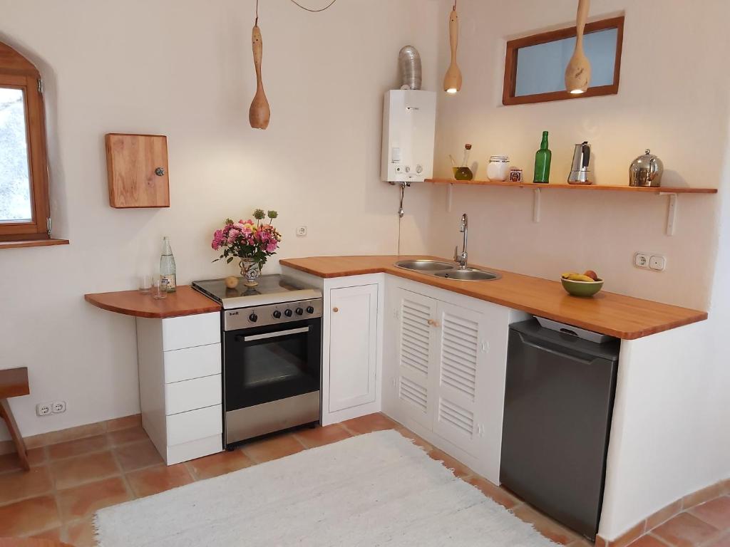 Kuchyňa alebo kuchynka v ubytovaní Cortijo El Molino Apartamento"El balconcito"