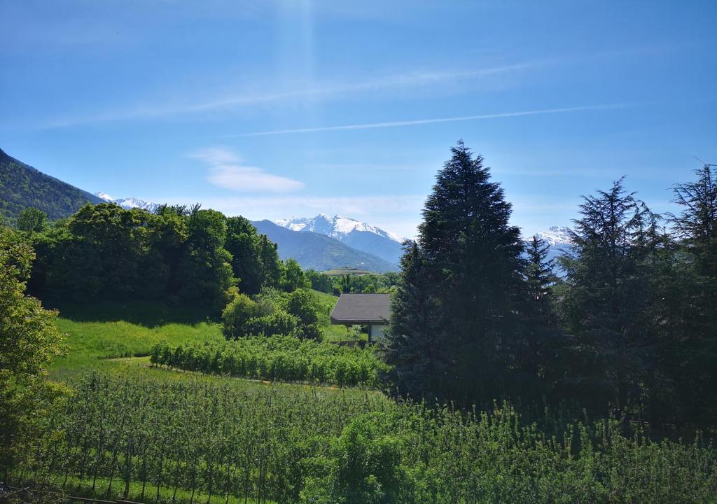 Le Parfum du Sel - 11