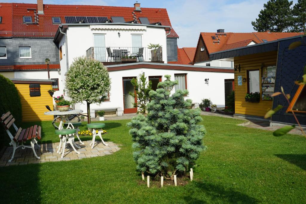 a house with a christmas tree in the yard at Pension Nr. 13 - B&B in Pirna