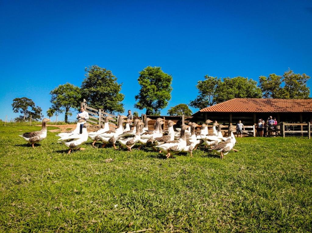 Eco Resort Foz do Marinheiro