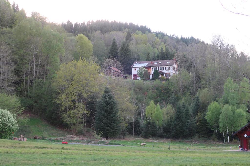 een huis aan de zijkant van een heuvel bij BnB chambres d'hôtes le Chêne in Ban-sur-Meurthe-Clefcy