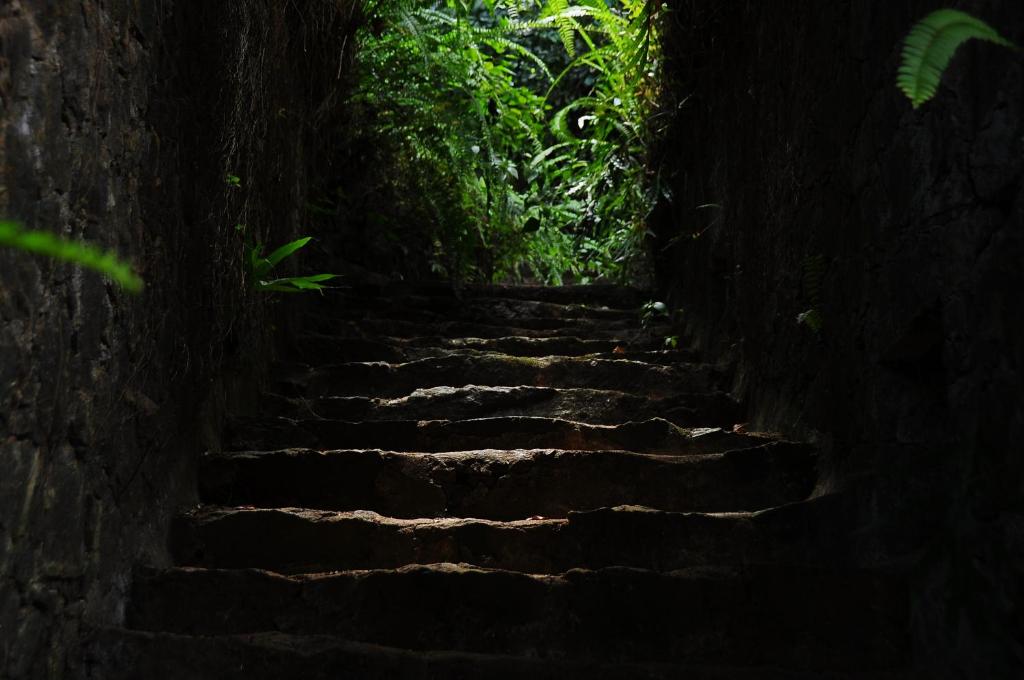 una escalera de piedra que conduce a una cueva oscura en Boulder Garden, en Kalawana