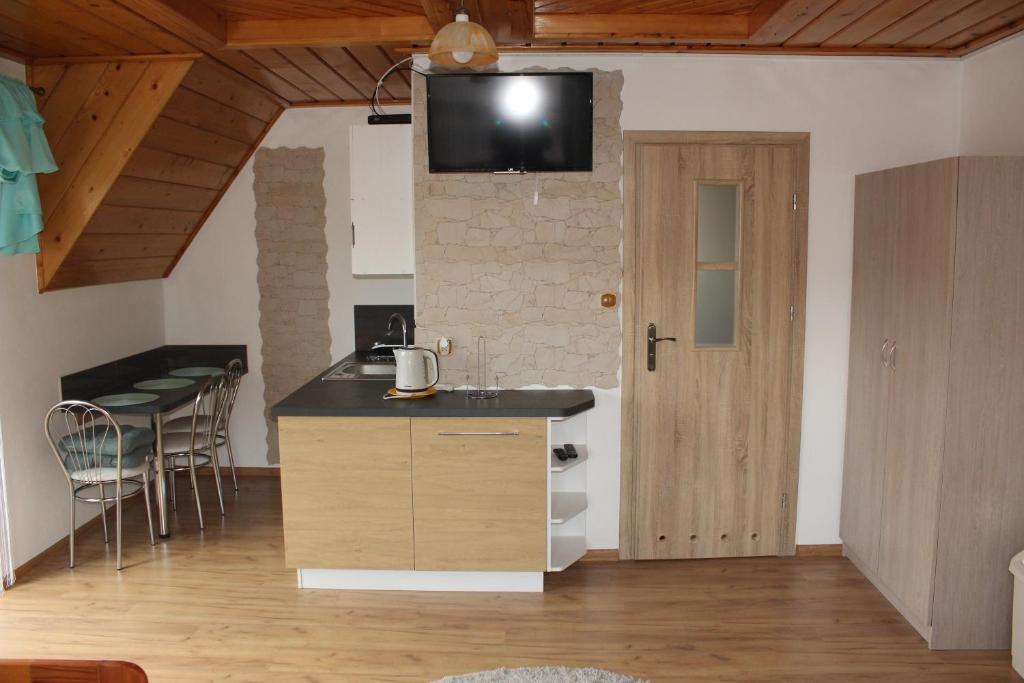 a kitchen with a sink and a tv on the wall at Pokoje u Gosi in Szczawnica